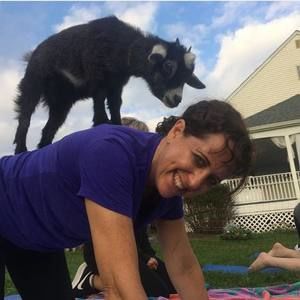 Meet your Posher, Robin